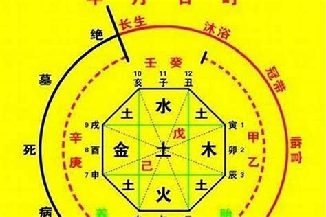 八字忌什麼|生辰八字中「用神」和「忌神」本質的區別，千萬別弄混